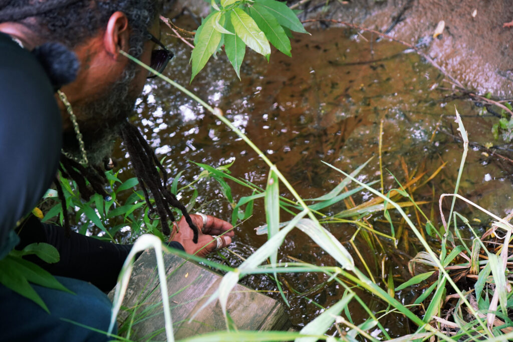 David Andrews at Silvio O. Conte National Fish and Wildlife Refuge
